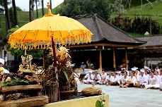 Ombrelles Bali