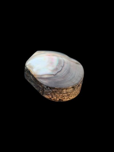 Coquillage