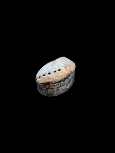 Coquillage