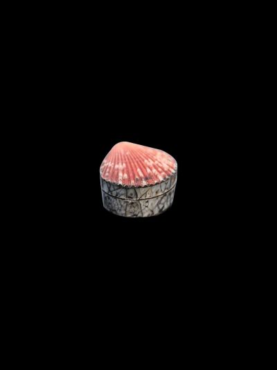 Coquillage