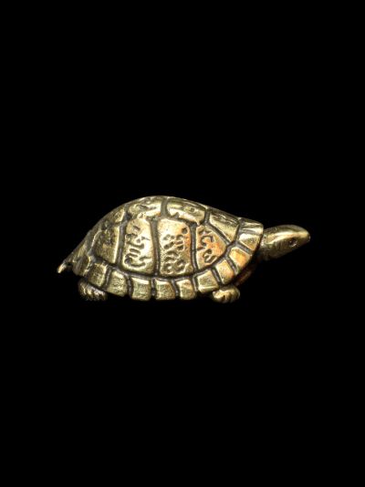 Tortue