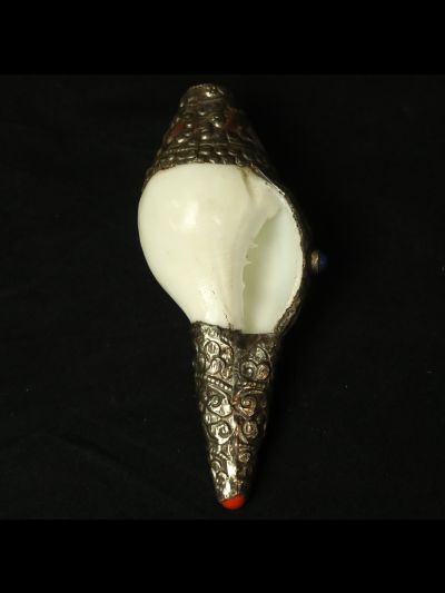 Conque Tibétaine Akshobhya