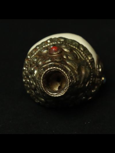 Conque Tibétaine 13.5cm x 5cm