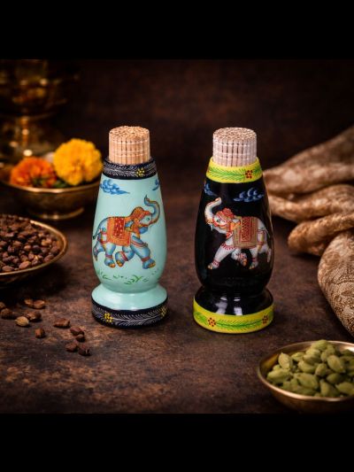 Boîte Cure Dent Jaipur