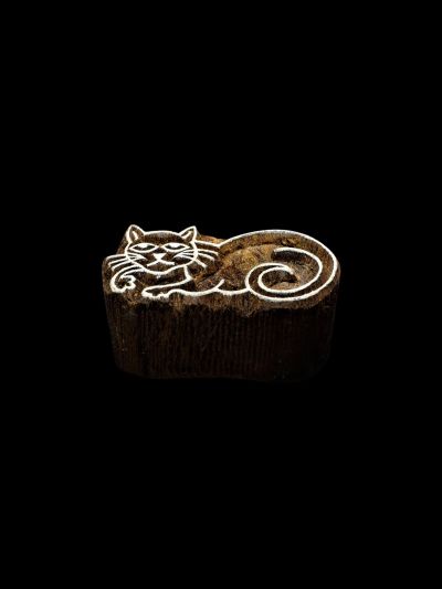 Chat 5cm