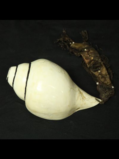 Conque Blanche Lisse Tibétaine