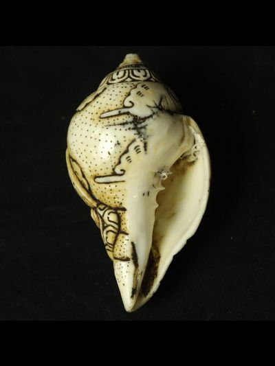 Conque Tibétaine Bouddha Akshobhya