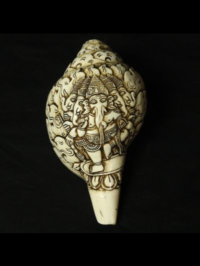 Conque Tibétaine Ganesh à 5 Tête