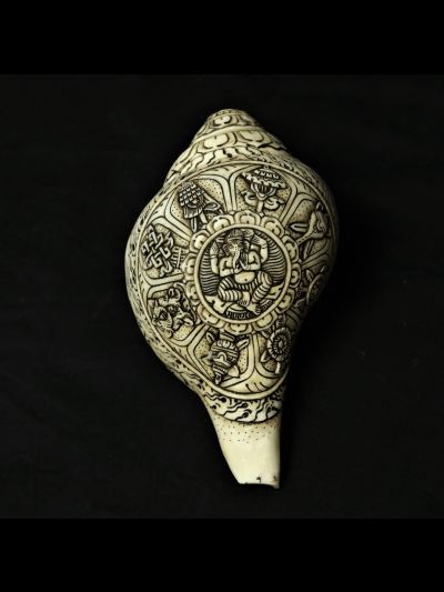 Conque Ganesh Signe Bon Augure 20cm