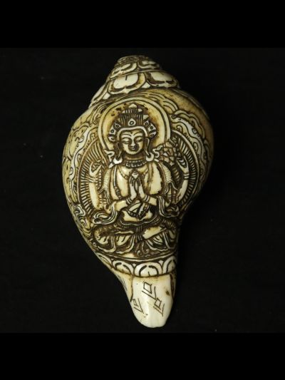 Conque Tibétaine Tchenrézi