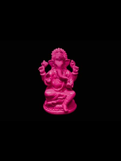 Ganesh Colorful-Fluo Rose