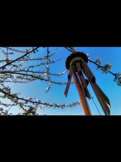 Carillon Debussy a Bali