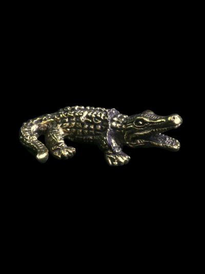 Crocodile