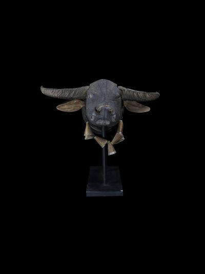 Tête de buffle Toraja