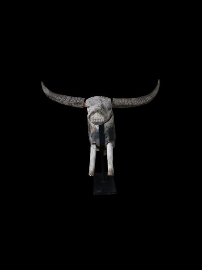 Tête de buffle Toraja