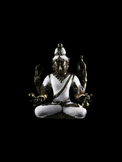 Shiva Mahayogi Java
