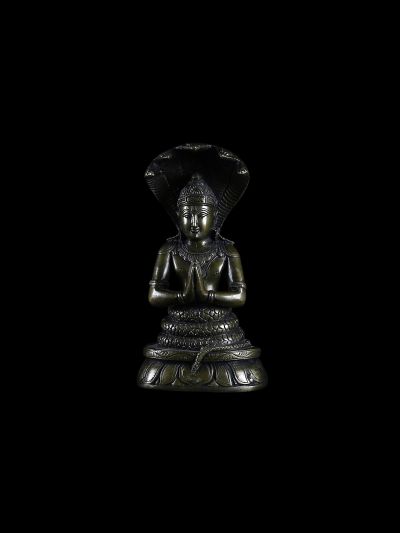 Patanjali 20cm