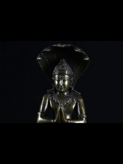 Patanjali 20cm
