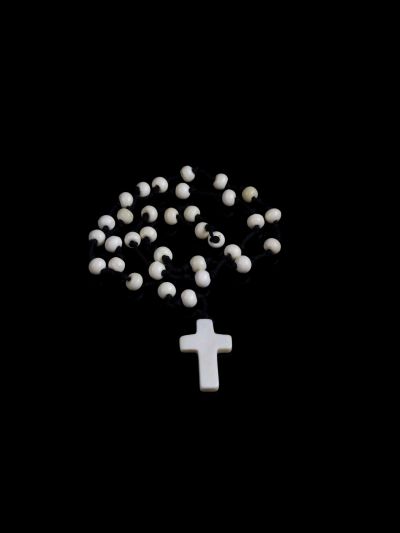 Rosaire os de chameau