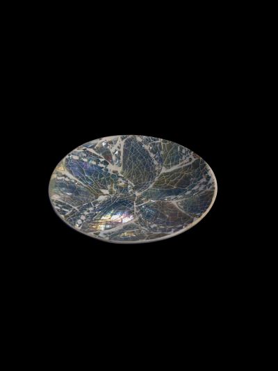 Coquillage