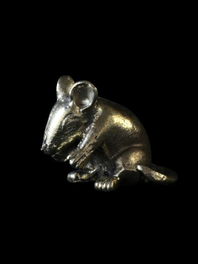 Rat