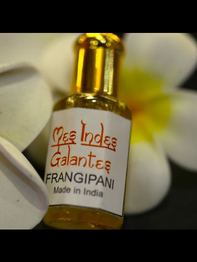 Frangipani