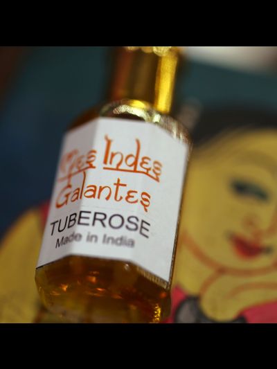 Tubéreuse
