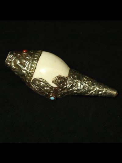 Conque Tibétaine 13.5cm x 5cm