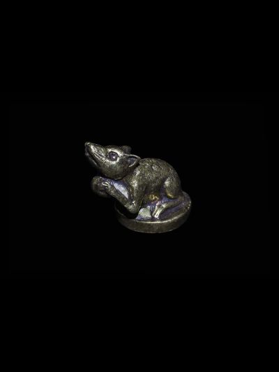 Rat Chinois