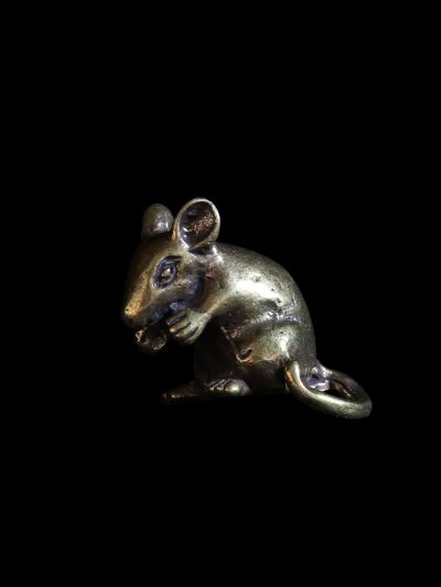 Rat