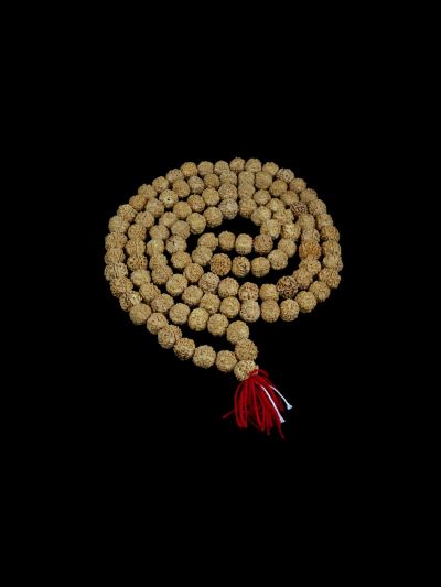 Rudraksha 18mm