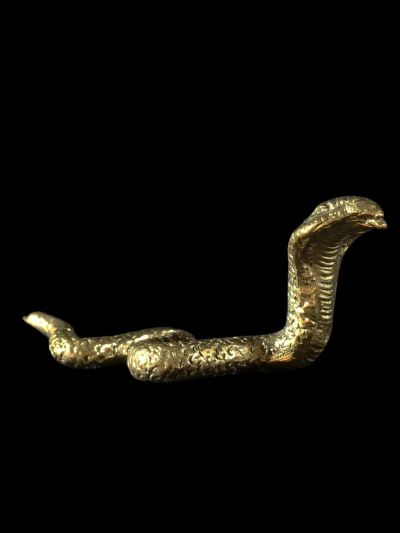 Naga
