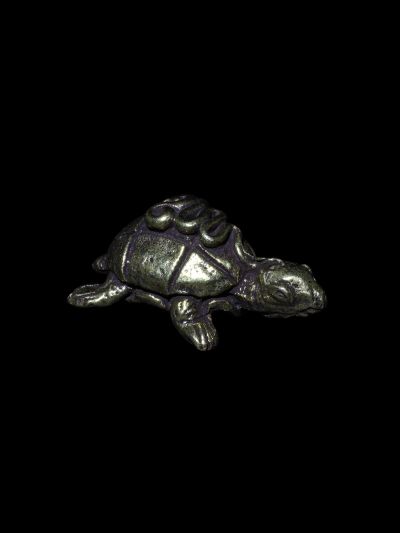 Tortue