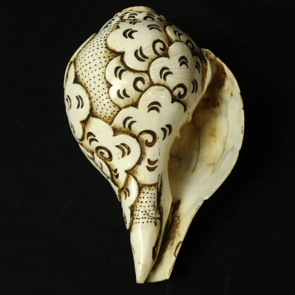 Conque Tibétaine Sarasvati Paris
