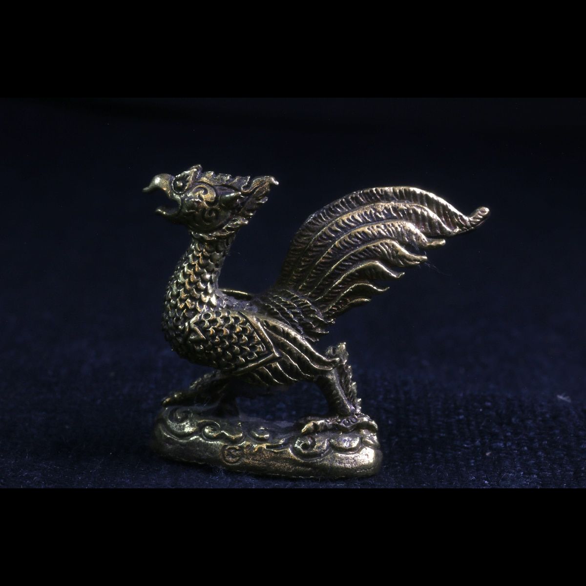 coq