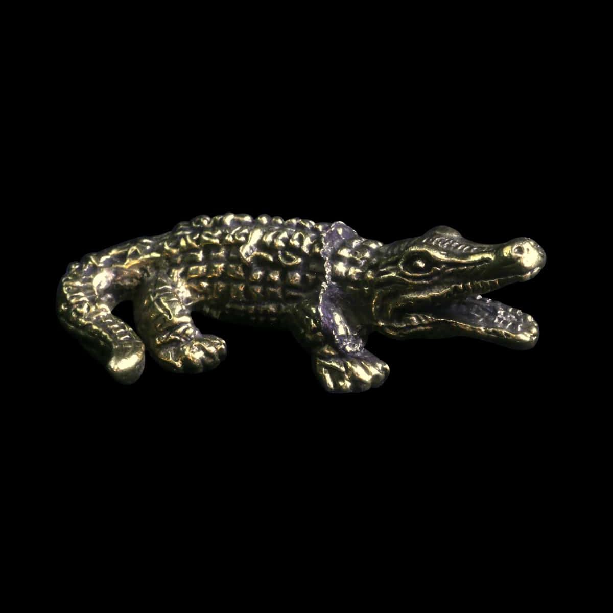 Crocodile