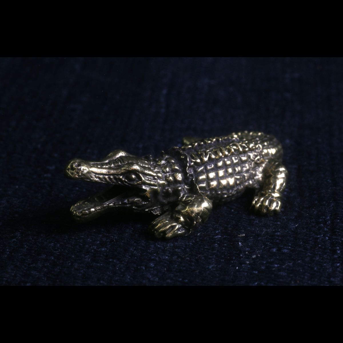 Crocodile