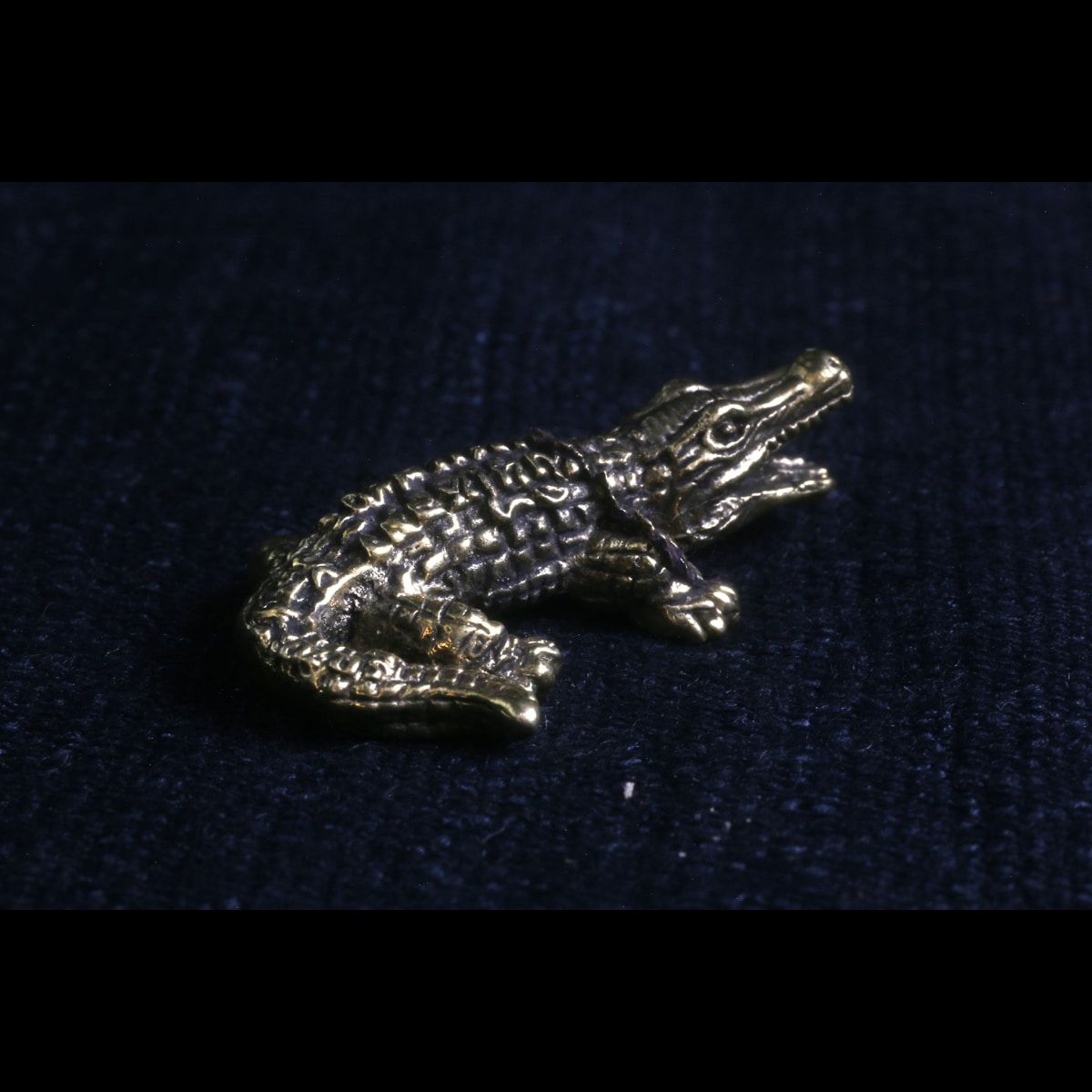 Crocodile