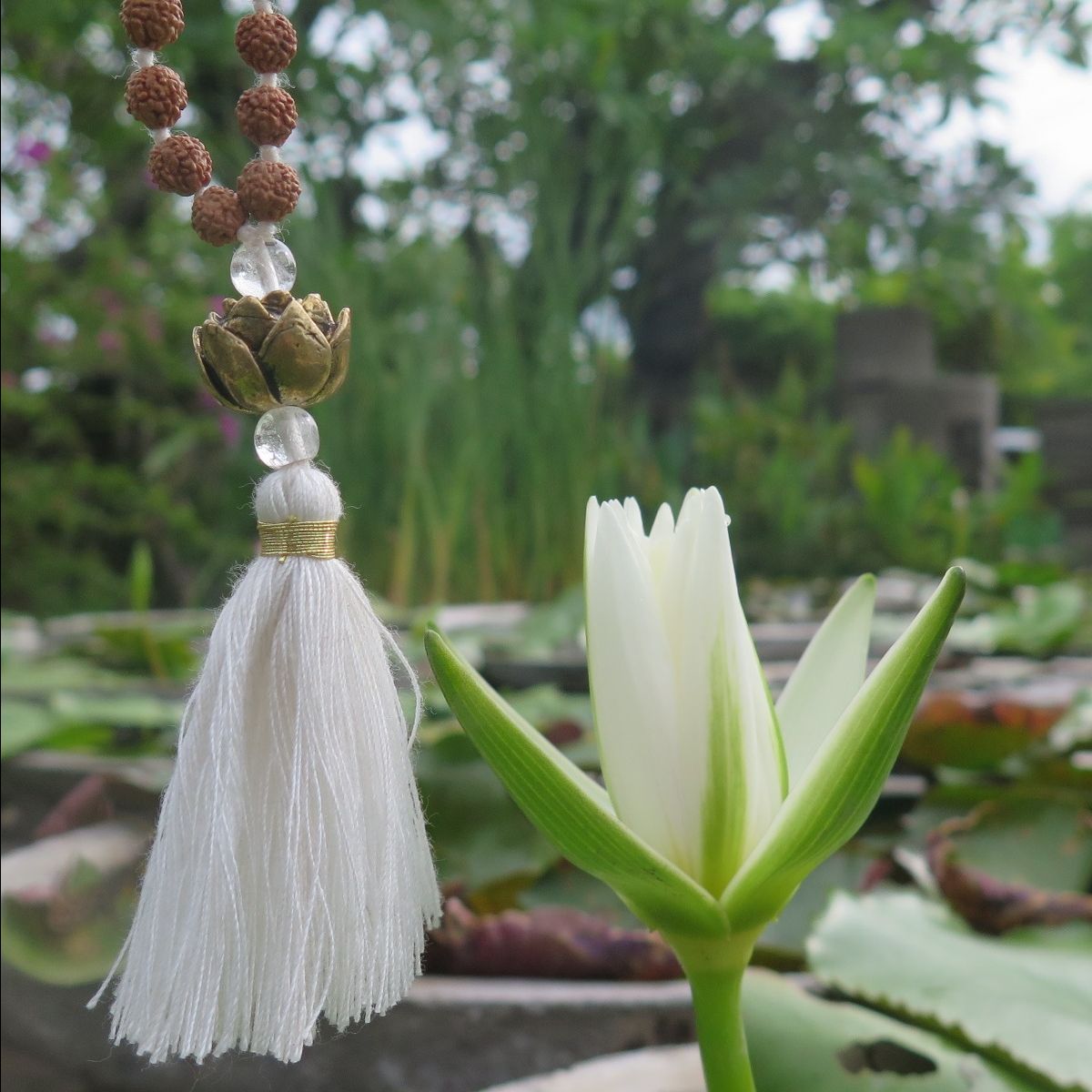 KAMALA MALA CRISTAL DE ROCHE MES INDES GALANTES PARIS 75004