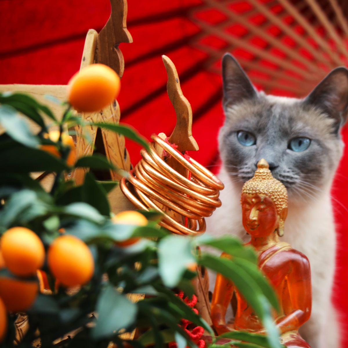 jonc bouddhiste orange paris mes indes galantes