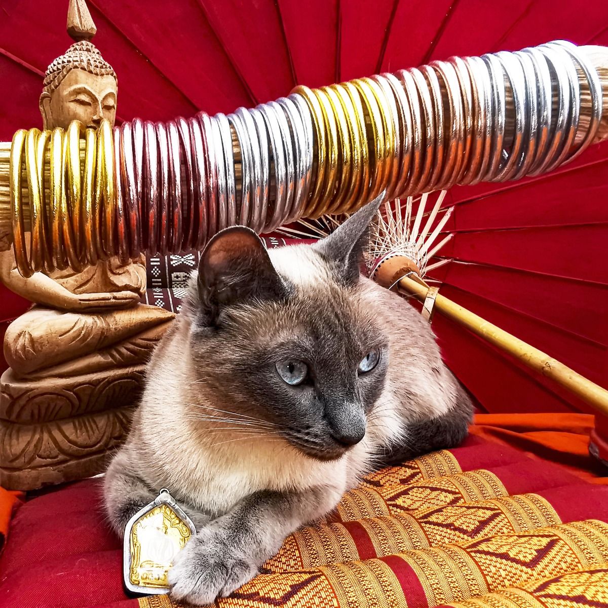 JONC BOUDDHISTE PAS CHER PARIS MES INDES GALANTES