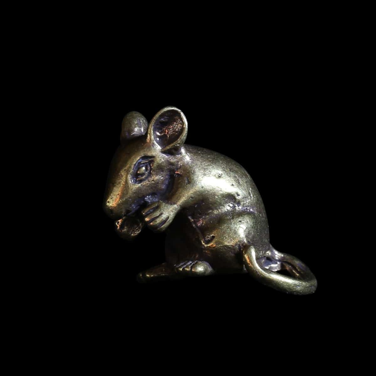 Rat