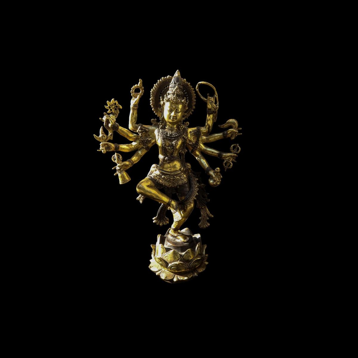 Shiva Nataraja Mes Indes Galantes Paris