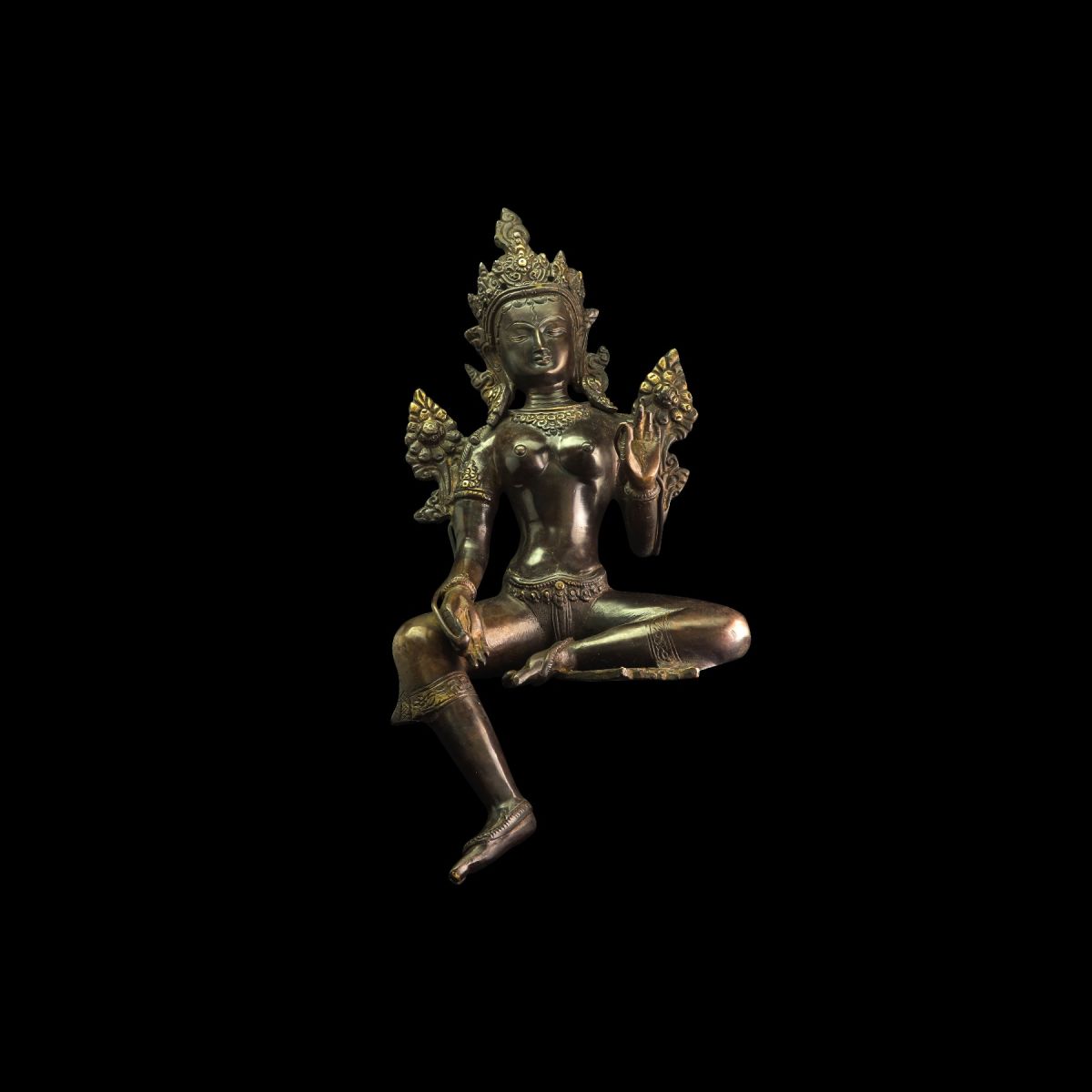 Tara Verte Mes Indes Galantes Paris