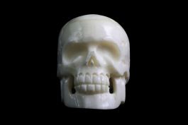 Tête de mort en os