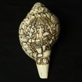Conque Tibétaine Ganesh à 5 Tête