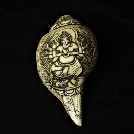 Conque Tibétaine Ganesh