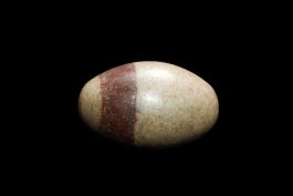 Lingam