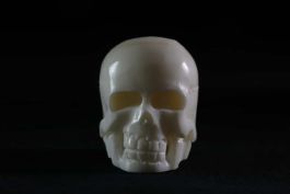 Memento Mori en Os de Buffle