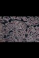 Batik Mega Mendung - Multicolore